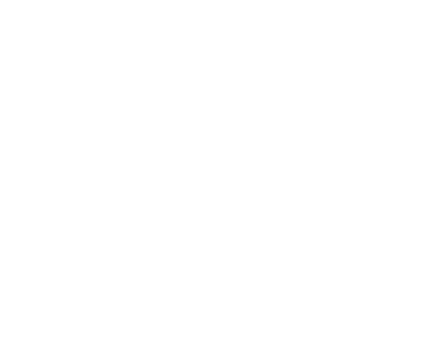 Sínodo de São Paulo